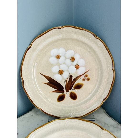 4 Vintage The Classics Hearthside Stoneware Castlewood 10.5” Dinner Plates Japan - Picture 7 of 10